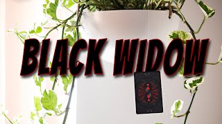 One Bite Is All It Takes With Black Widow Playing Cards - Deck Specs