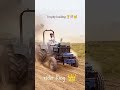 rider King 👑 Nishu bhai tractor Mafia 01 #viral #newvideo #villagevlog #sanyal #explore #video ...