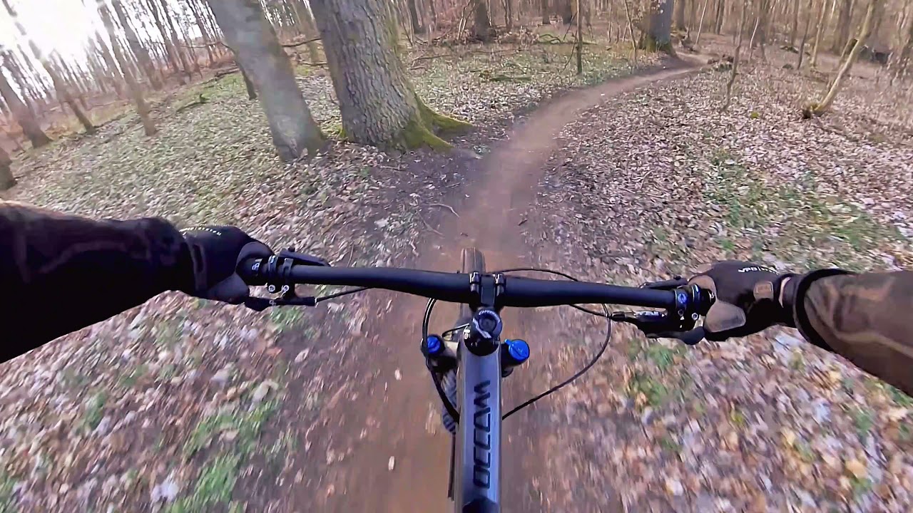Mountainbiken im Stadtwald Koblenz | kleiner Trailcheck als Rookie | BerndBehindBars