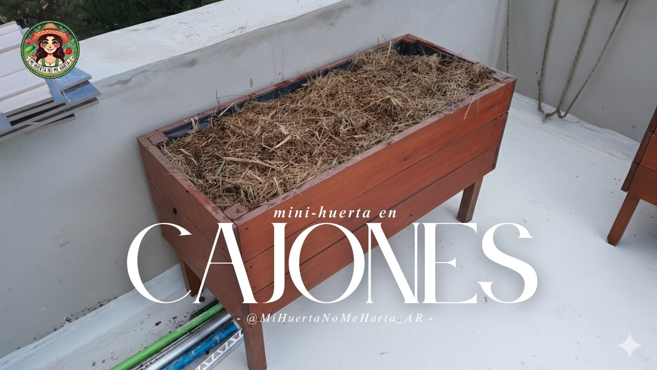 Mini huerta en cajones paso a paso