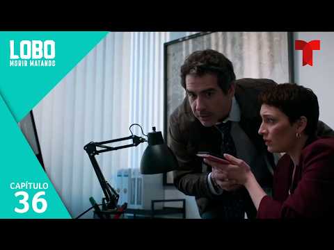 Lobo Morir Matando | Capítulo 36: Cara a cara con Miranda | Telemundo Series
