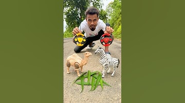 Deko Natun Ekta RC Camel and Remote wala Zebra Unboxing 😁