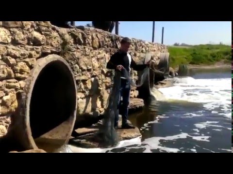 Кастинговая сеть Накидная сеть в Казахстане - YouTube