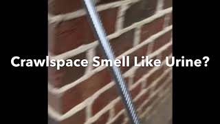 Crawlspace Pee Smell Detector Wand