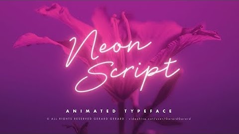 After Effects Template: Neon Script - Animated typeface