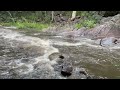 Day out at Cedar Creek when it is pouring rain