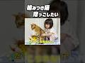 クールな噛みつき猫を抱っこしたい人 #shorts #猫のいる暮らし
