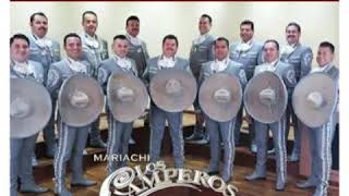 Video thumbnail of "MARIACHI LOS CAMPEROS  - AMOR CIEGO"