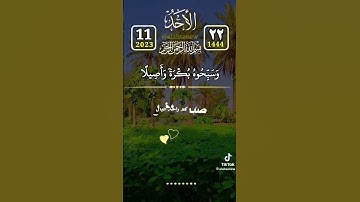 تلاوة هادئة ♡♡♡