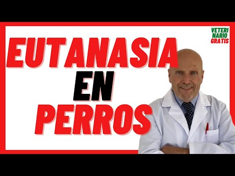 🔴 EUTANASIA en PERROS  Que le inyectan, Como se Hace, Cuanto Tarda  🔴 Cuándo Sacrificar a un PERRO