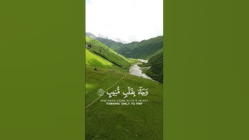 ⏳ في أقل من دقيقتين.. سكينة وطمأنينة لا توصف 🌌📿 #قرآن #تلاوة_خاشعة #Quran