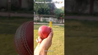 Reverse Spin Bowling 🏏 #cricket #bowling #shorts spin bowling #shortsfeed #sports #video
