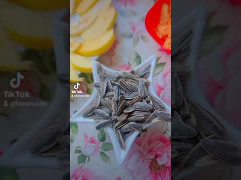 يما عينينا يما ايدينا حكيو عنك حكيو عنك قالو عشقان