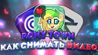 картинка: Как снимать Pony Town? | Советы и опыт | Pony Town | 2024