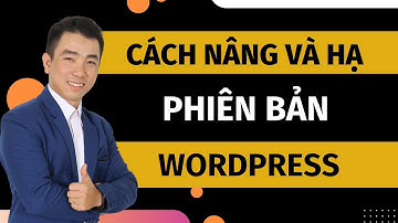 Hướng dẫn hạ cấp, nâng cấp mọi phiên bản wordpress 1 nốt nhạc