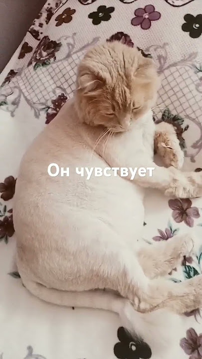 7 июля 2024 г.