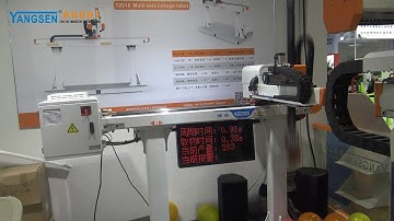 YANGSEN ROBOT FG700G IS30 HIGH SPEED TAKE OUT ROBOT