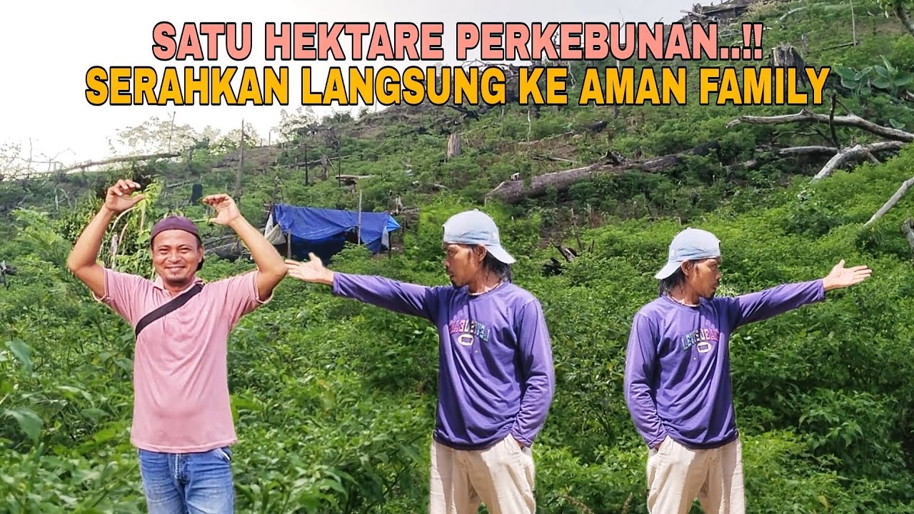 SATU HEKTARE PERKEBUNAN SERAHKAN LANGSUNG KE AMAN FAMILY