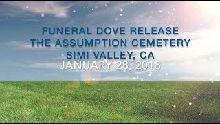 Funeral Dove Release 1 28 2018