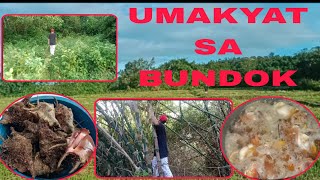 Umakyat Kame Ni Tito  Deo Sa Bundok  Nag Luto Ng Sindanalukang Balayawan