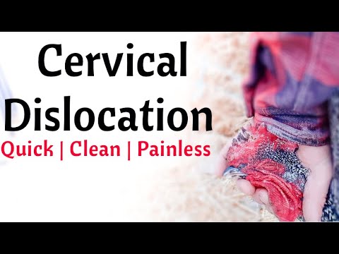 How to Humanly Kill Chickens, Roosters or Other Poultry - Cervical Dislocation / Broomstick Method