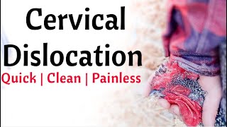 How to Humanly Kill Chickens, Roosters or Other Poultry  Cervical Dislocation / Broomstick Method