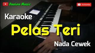 Karaoke Pelas Teri Nada Cewek || versi koplo || cipt.Gopy