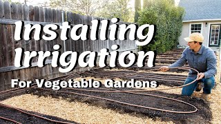 Installing Irrigation For Vegetable Gardens