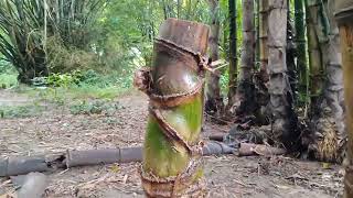 Bambu Sabdo Palon Sabdo Dabel, Ts Mantul