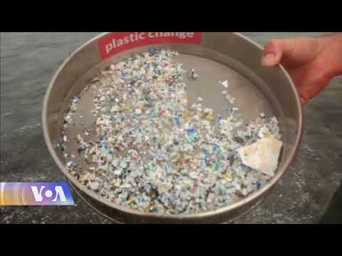 ოკეანეებში პლასტმასის ნარჩენების რაოდენობა გლობალური პრობლემაა