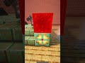 Minecraft Working Carousel Moment 💀