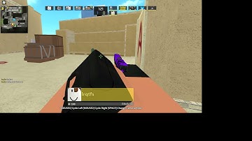 Counter Blox Hacker Hack: Aimbot Username: lrqtfs