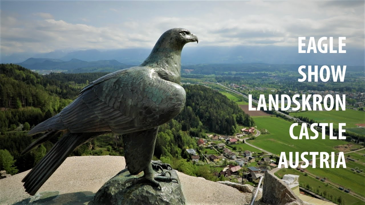 MUST SEE: Eagle show Landskron Castle, Landskron, AUSTRIA