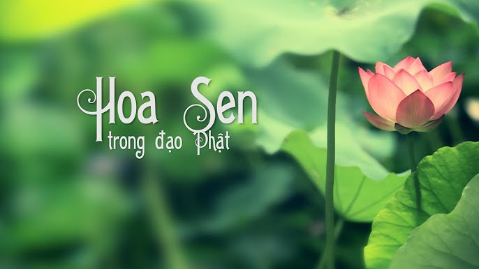 Truyền Thuyết Phật Pháp: Hành Trình Từ Bi và Giác Ngộ