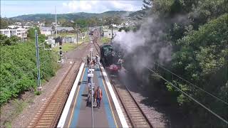 NSW Steam Locomotives