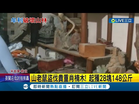 山老鼠再狡猾也躲不過電眼! 山老鼠盜伐貴重肖楠木 遭起獲28塊148公斤 分工細膩竟還分"盜伐組.車手組.把風組"｜記者 黃孟珍 謝昀蓁｜【LIVE大現場】20230724｜三立新聞台