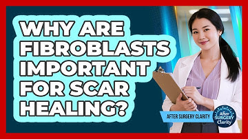 Why Are Fibroblasts Important For Scar Healing? - After Surgery Clarity