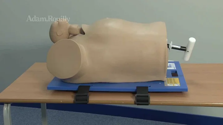 AR58 Desperate Debra - Impacted Fetal Head Model