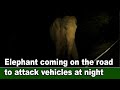 Elephant coming on the road to attack vehicles at night | रात में वाहनों पर हमला करने आ रहे हाथी