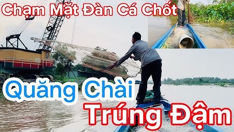 Tập 8 # CHẠM Mặt Đàn Cá Chốt Quăng Chài Trúng Đậm