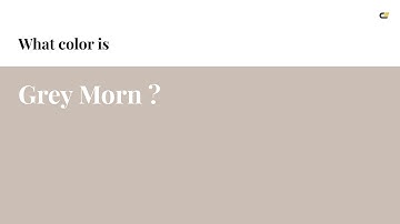 Grey Morn color #cabeb5 hex color - Red color - Cool color cabeb5