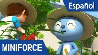 (Español Latino) Miniforce S2 compilation -  Capítulo 1~6