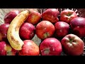 Subah subah fruit khane ka ek alag hi maza he..(#shorts )