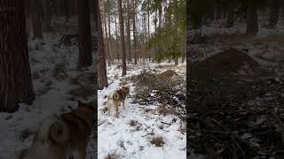 IMG 5120