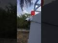 5MP #Network #Bullet #Colour #Camera #External #Siren Option two-way #Talking #System