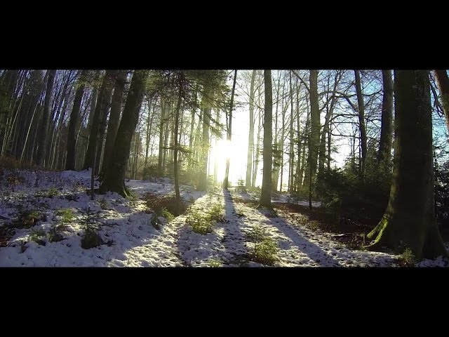 The Winter | Steadicam Smoothee & GoPro in Action