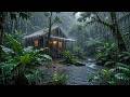 Rain at Night 🌧️ Peaceful Rain Sounds with Dark Screen for Sleeping