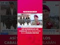 Así se preparan los caballos que desfilarán en la Parada Militar