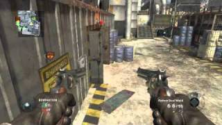 Celebrity taforged04 - Black Ops dual weild pythons and tomahawk Wealth