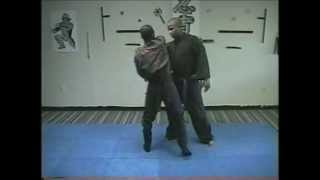 Ninjutsu Taijutsu(empty hand Combat) 2